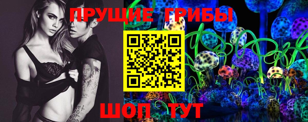 Галлюциногенные грибы Psilocybine cubensis Чистополь