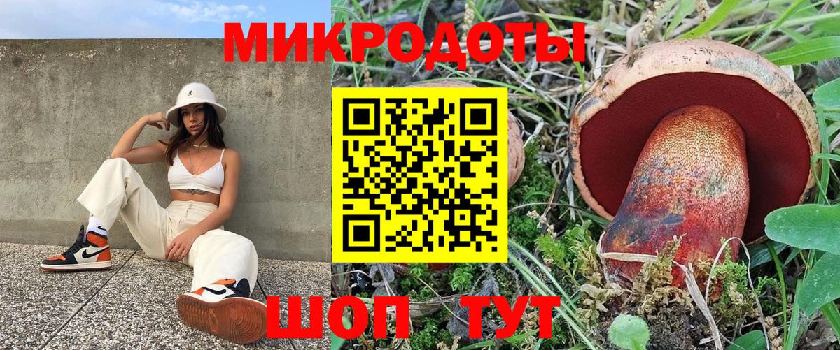 сколько стоит  Вход с VPN  Чистополь  Псилоцибиновые грибы Psilocybe 